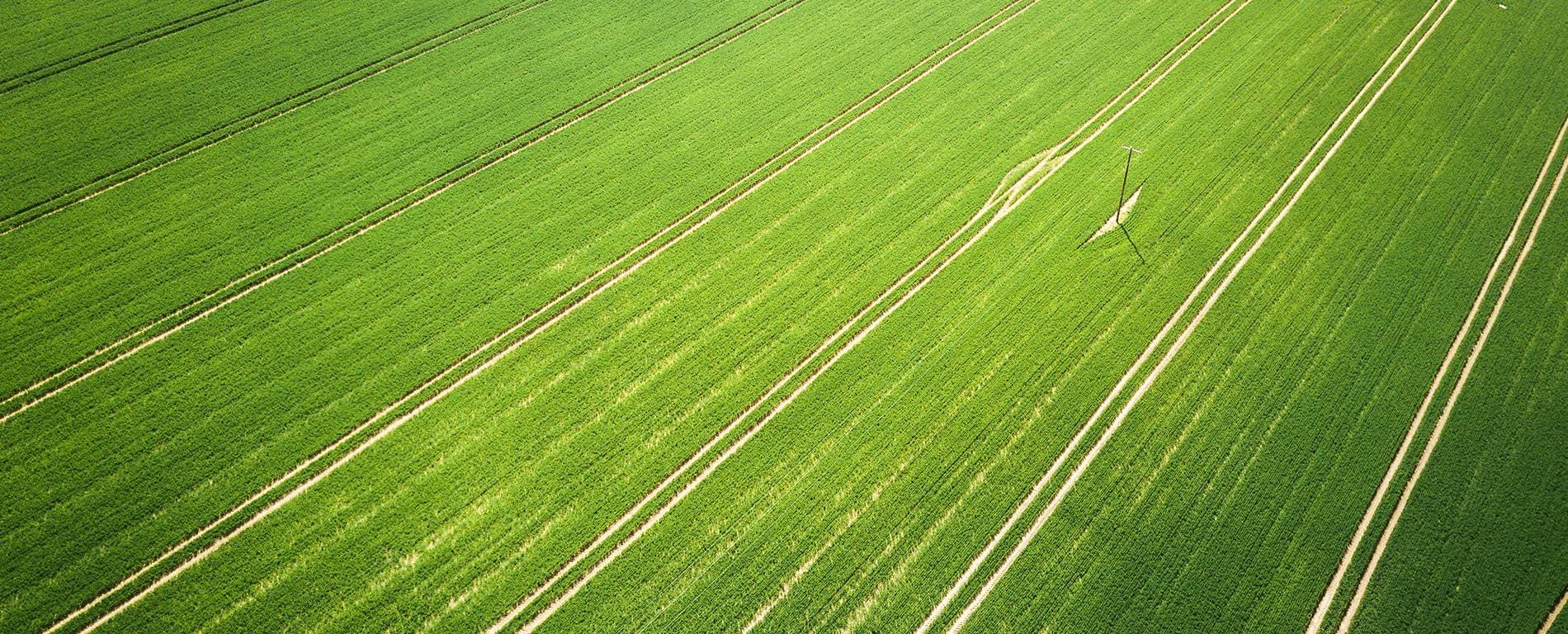 Agriculture